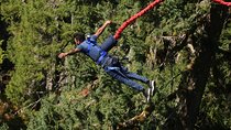 2-Day Garden Route Bungee Jump, Zipline & Shark Cage Diving tour