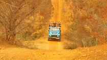 Jeep Safari Adventure including Full Day Boat Tour in Side Turkey
