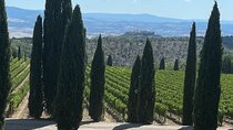 Discover Brunello Wines with DiWine Experience