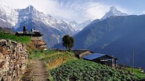 Multi-Day Ghandruk Trek in Pokhara