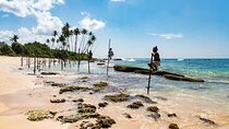 Private Tour: Galle Day Tour from Colombo