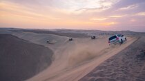 Desert Safari | Inland Sea | Half Day | Qatar | Doha