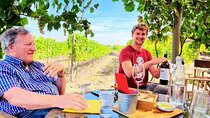 Douro Valley Small-Group Tour: 2 Wineries, Lunch, Optional Cruise
