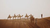 4 Days Desert Tour from Marrakech to Agadir and Taghazout