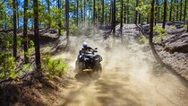 Off-Road Quad Tour from Woodlands to Volcanic Heights