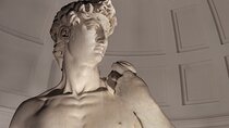 Florence: Private Half Day City Tour with Michelangelo's David