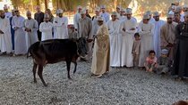 Private Friday Cattle Market-Nizwa and Jebel Akhdar-Full-Day Tour
