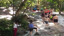 Day Tour To Dunn River Falls and Tubing
