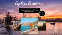 Essaouira Unveiled: A Day of Culture and Coastal Wonders!