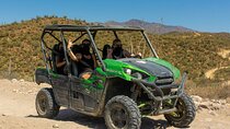 Self-Guided Centipede Desert UTV Rental