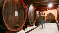 Private Tour in the Cellar and Tasting of Langhe Wines