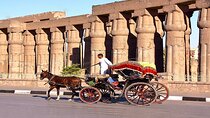 5 Hour Private Tour in Luxor by Horse Carriage (Private)