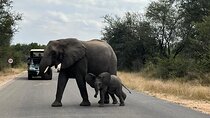 Private Kruger Park Safari and Panorama Route