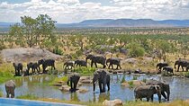 4 Day Johannesburg Kruger National Park & Blyde River Canyon Tour