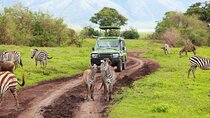 Tala Game Reserve, Natal Park and Phezulu Safari from Durban