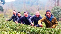 2-Hour Private Tea plantation tour in Hangzhou China