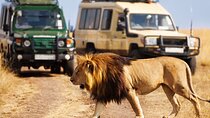4 Days Private Tour at Kruger National Park & Blyde River Canyon