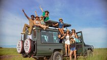 4 Days Safari Adventure Masai Mara and Nakuru Park Group