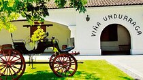 Private Winery Undurraga from Santiago