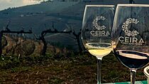 Full Day Tour in Douro Valley with Wine Tasting