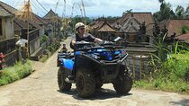 Bali Quad and Buggy Discovery Tour, Including Round-Trip Transfer
