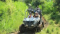 Quad or Buggy Tour with Canyon Tubing Adventure in Bali