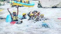 Ubud White Water Rafting Half Day Tour With Lunch