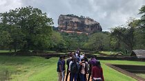 Private 7 Nights 8 Days Tour in Sri Lanka