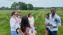 Half-Day Guided Wine Tasting Tour in Bordeaux Vineyards