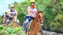 From Punta Cana Safari Adventure with Cultural Experience