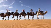 5 Days desert tour from Agadir or Taghazout to Marrakech