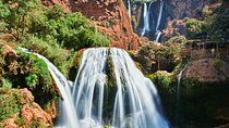Day Trip to Ouzoud Waterfalls from Marrakech