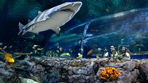 Ticket to the largest Oceanarium of the Mascarene Islands