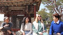 Seoul Half Day Tour with a Local: 100% Personalized & Private