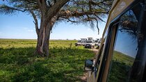 3 Days Group Safari Serengeti & Ngorongoro