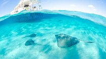 Grand Cayman Reef & Stingray City Snorkeling Adventure