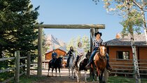Valley Vista 1.5 Hour Horseback Trail Ride in Kananaskis