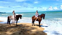 Beach Horse Riding Activity in Phuket
