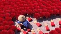 Secret Handicraft Villages of Hanoi ( Incense and hat Villages )