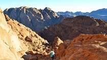 Mount Sinai and Catherine's Monastery Tour from Sharm El-Sheikh