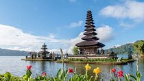 Bali One Day Tour : Rice Terrace, Monkey Forest and Waterfall 