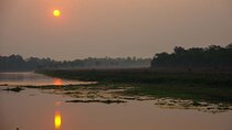 Experience the Thrill of the Wild: Chitwan Jungle Safari( 2N3D)