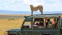 2 days Tarangire and Ngorongoro Group safari
