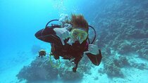 Intro Diving at Ras Mohamed and White Island in Sharm El Sheikh
