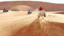 Adventure Quad Bike Safari, Camel Ride & Sandboarding