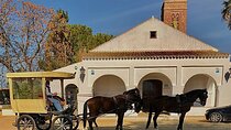 Rutas en carruajes por los cortijos mas emblemáticos del aljarafe