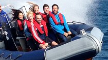 Private One Hour Powerboat trip with lots of high speed fun