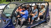 1 Hour Philadelphia Private Guided Tour by Deluxe Electric Car