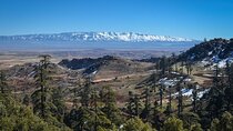Day Tour From Fes to Middle Atlas (Imouzzer, Ifrane, and Azrou)