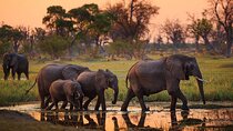 4-Day Comfort Safari to Tarangire, Ngorongoro & Materuni